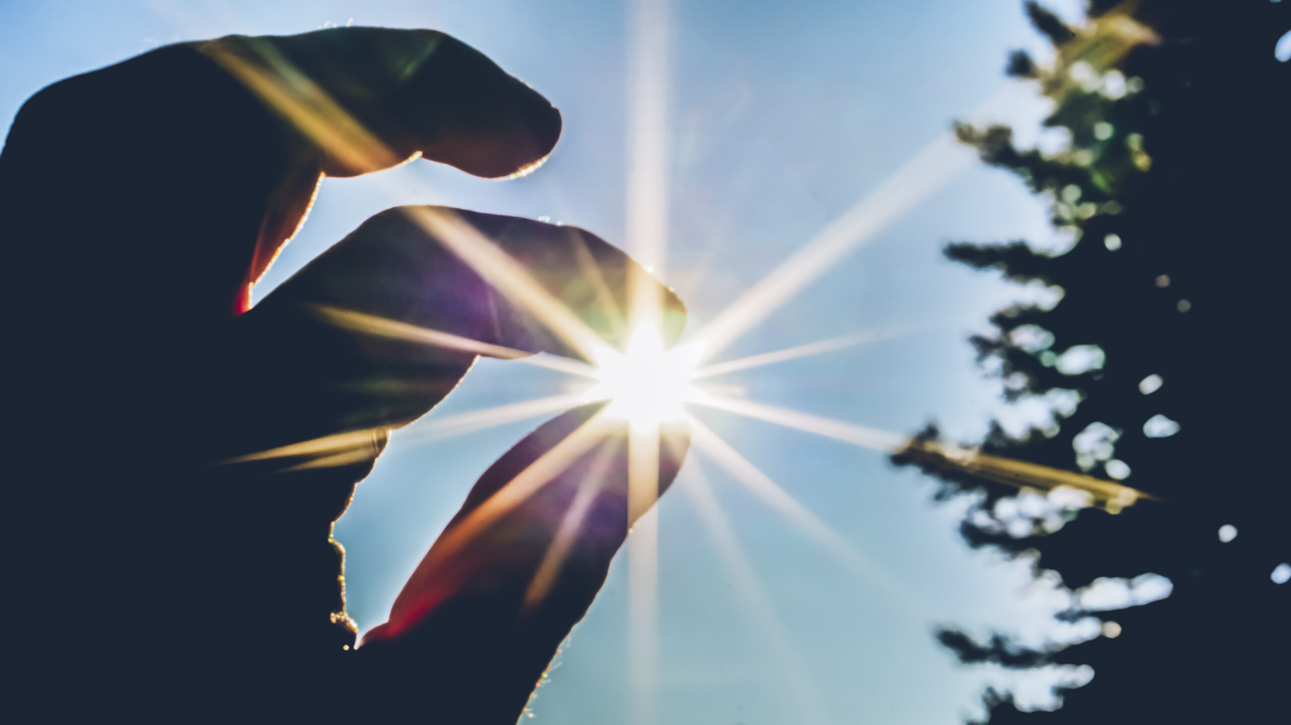 Eine Person umschließt die Sonne mit ihren Fingern.