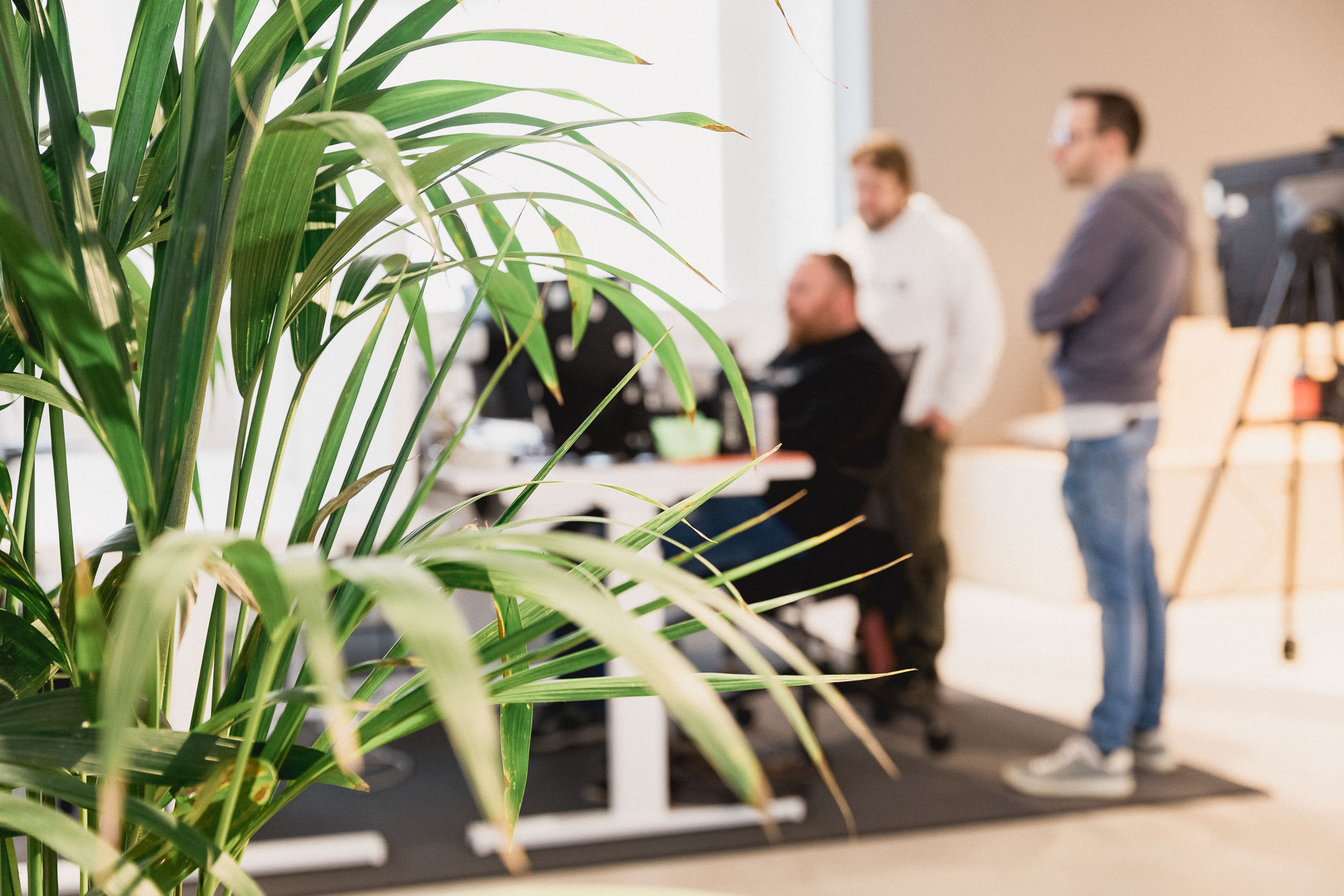 Ein Blick in das Büro von MILE AI. Mitarbeiter schauen gemeinsam auf einen PC-Bildschirm und erarbeiten gemeinsam die Lösung für einen Use Case.